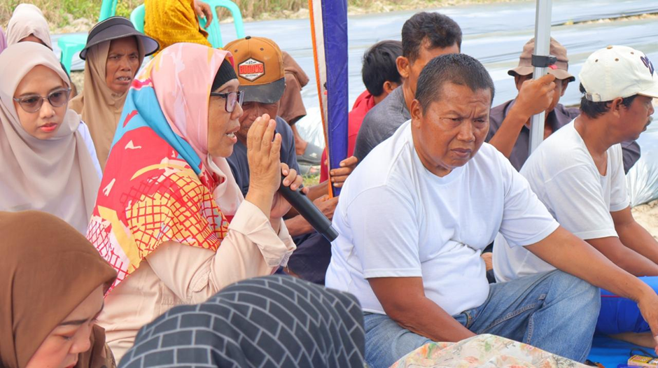 PENYERAHAN_BENIH_JAGUNG_3.jpeg